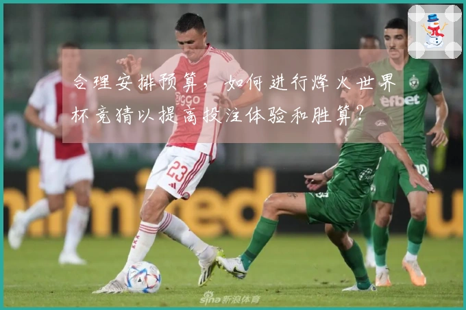 合理安排预算，如何进行烽火世界杯竞猜以提高投注体验和胜算？