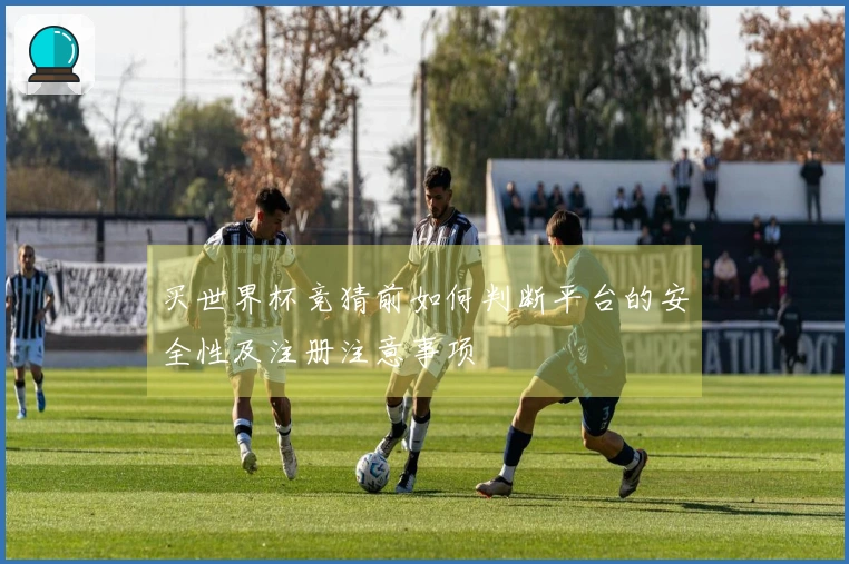 买世界杯竞猜前如何判断平台的安全性及注册注意事项