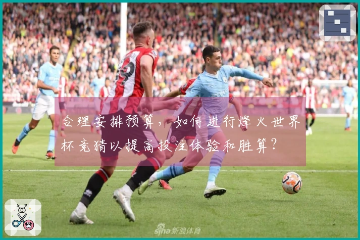 合理安排预算，如何进行烽火世界杯竞猜以提高投注体验和胜算？