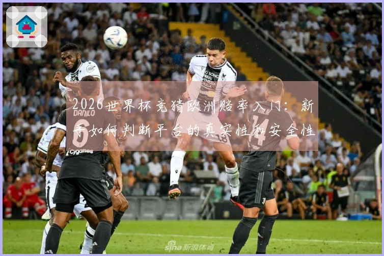 2026世界杯竞猜欧洲赔率入门:新手如何判断平台的真实性和安全性