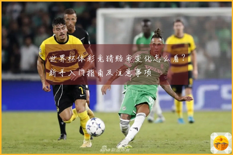 世界杯体彩竞猜赔率变化怎么看？新手入门指南及注意事项