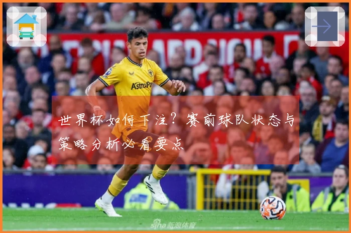 世界杯如何下注？赛前球队状态与策略分析必看要点