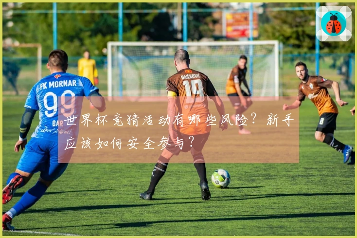 世界杯竞猜活动有哪些风险？新手应该如何安全参与？