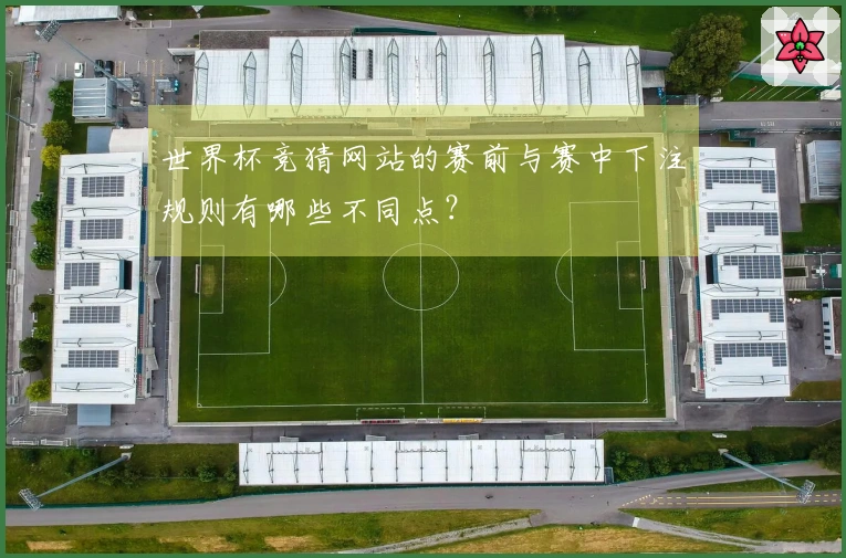 世界杯竞猜网站的赛前与赛中下注规则有哪些不同点？