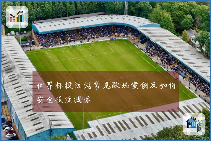 世界杯投注站常见踩坑案例及如何安全投注提示