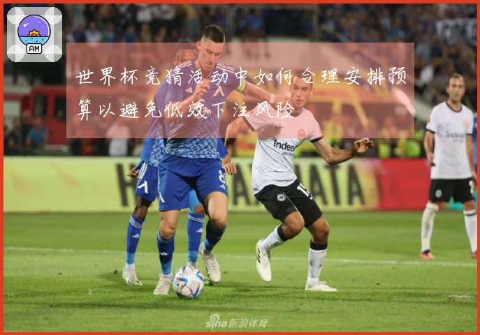 世界杯竞猜活动中如何合理安排预算以避免低效下注风险