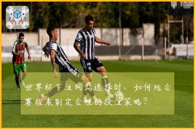 世界杯下注网站选择时，如何结合赛程表制定合理的投注策略？