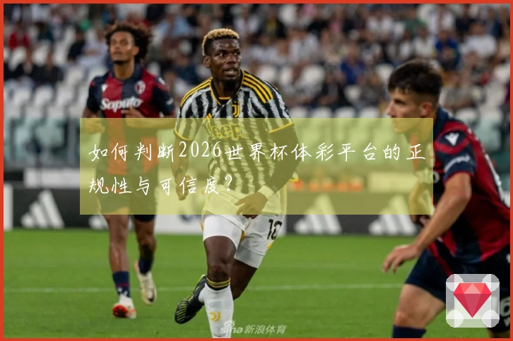 如何判断2026世界杯体彩平台的正规性与可信度?