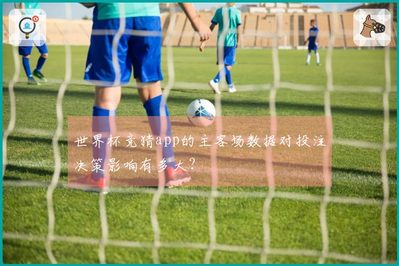 世界杯竞猜app的主客场数据对投注决策影响有多大？