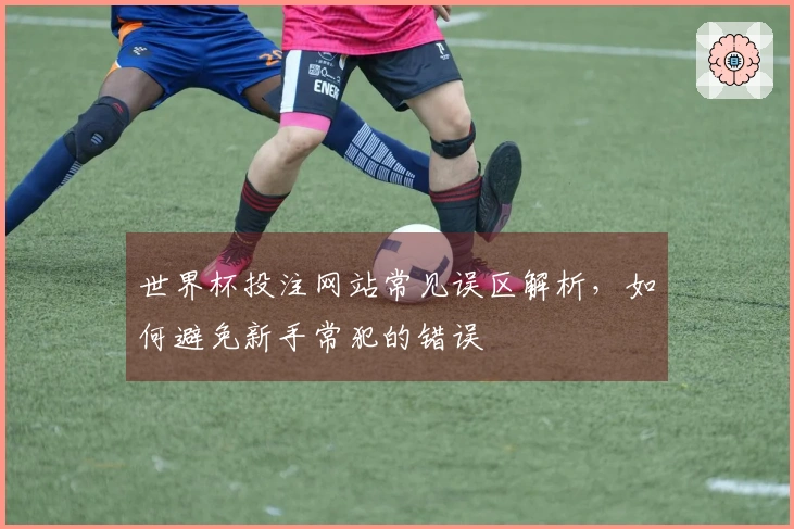 世界杯投注网站常见误区解析，如何避免新手常犯的错误