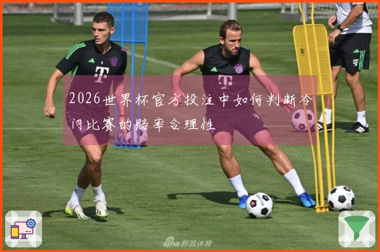 2026世界杯官方投注中如何判断冷门比赛的赔率合理性