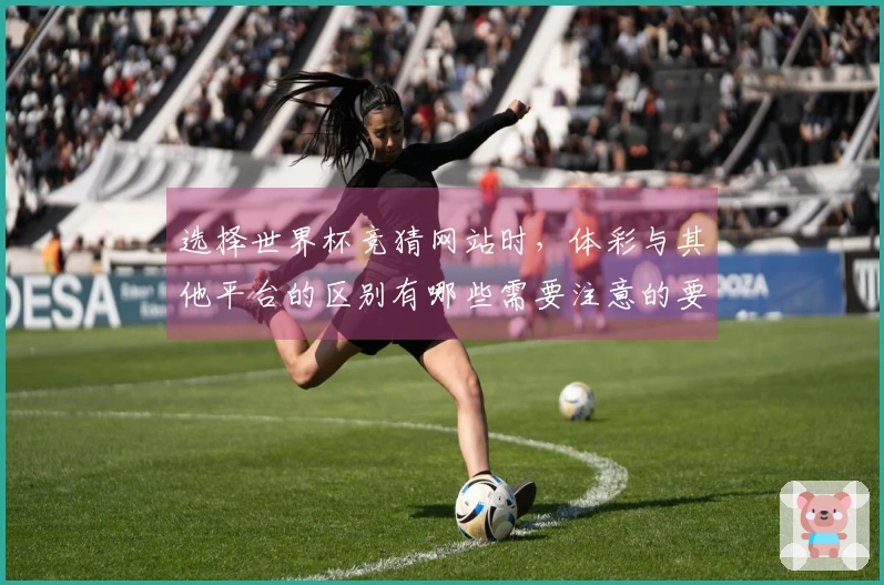 选择世界杯竞猜网站时，体彩与其他平台的区别有哪些需要注意的要点？
